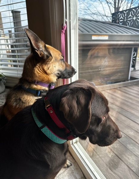 mma onlyfans sexy top bild