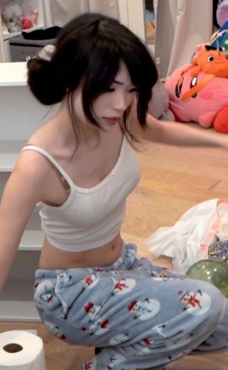 Emiru hübsche pornographische bilder