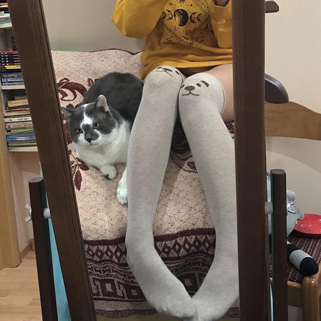 Tosha perfekte pornographische galerien