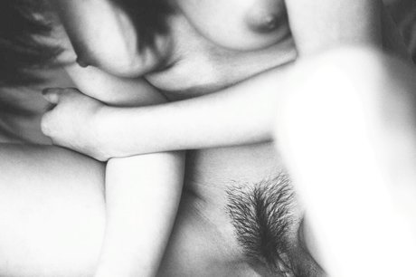 Sheri Chiu erwachsene kunst galerien