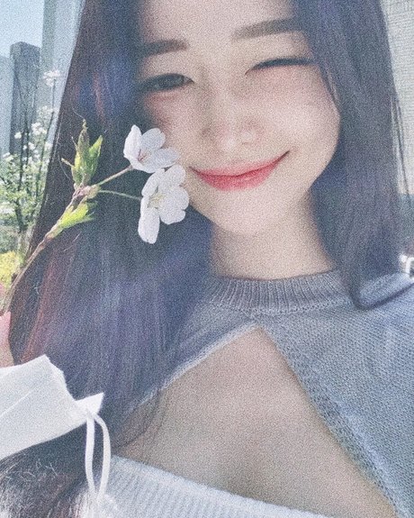 Vin Daily perfekte foto