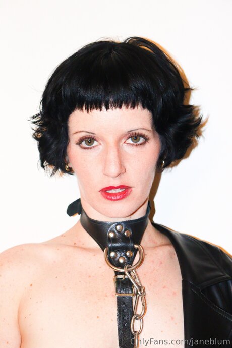 Janeblum schöne freie bild