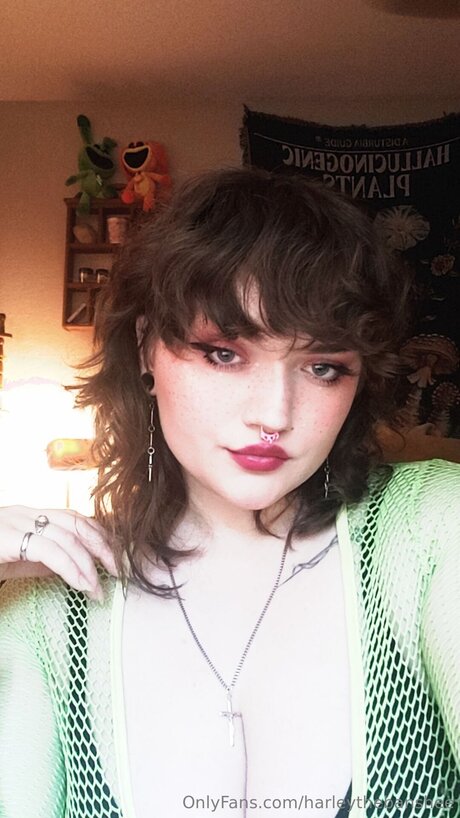 alter mann nur fans kostenlose beste foto