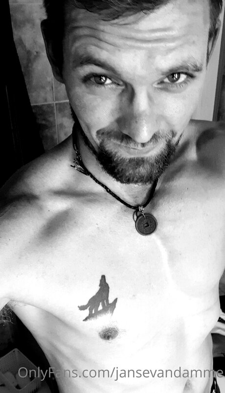 Jansevandamme heiße kostenlose bild