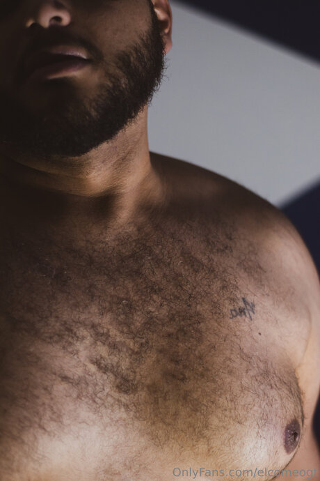 Elcomeogt nackt pornografische galerie