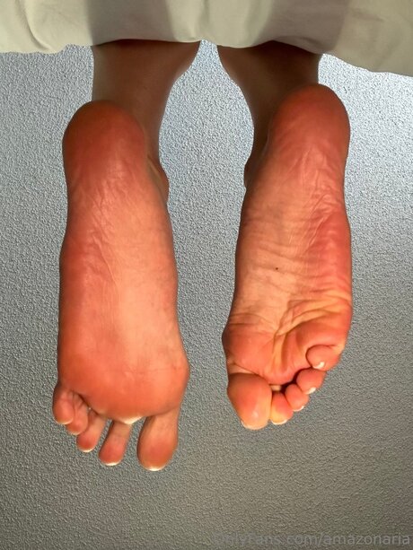 Amazonaria exklusive schöne bild