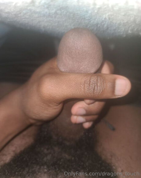 Dragons Touch top exklusive foto