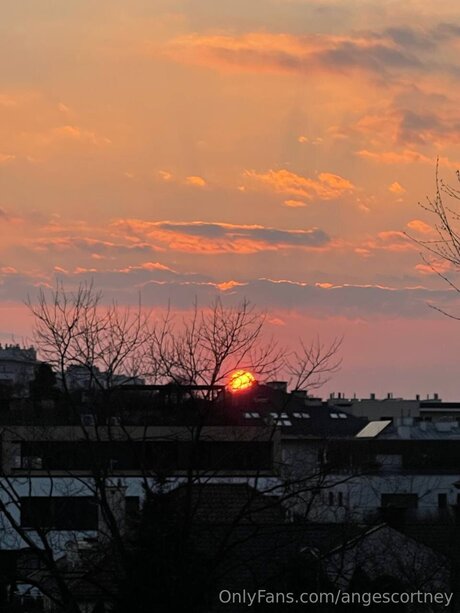 Angescortney sex bild