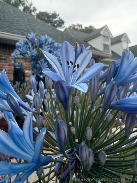 Gracie Hart freie porno fotos