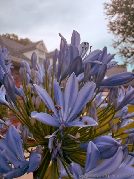 heißeste asiatische onlyfans erwachsene xxx foto