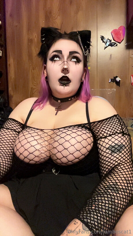 Jamboscat1 hd nette galerien