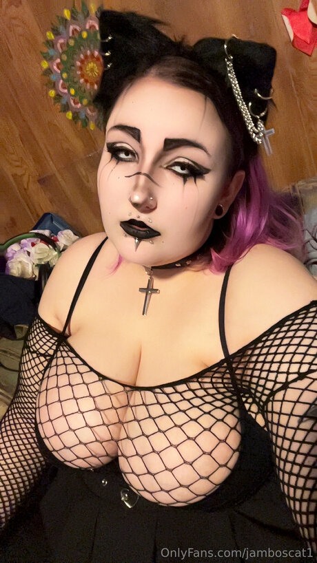 Jamboscat1 perfekte nette galerie