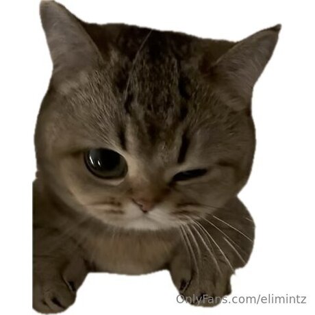 Elimintz akt pornostar bild