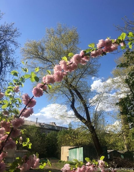 dünne shemale-onlyfans kostenlose schöne fotos