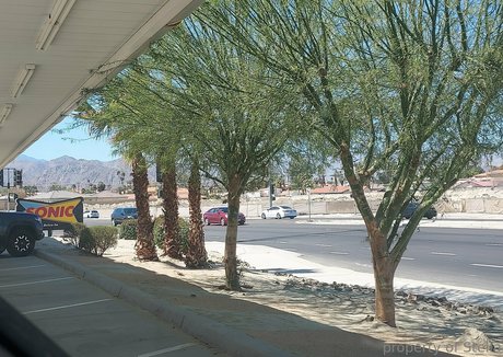 amateur-cuckold-onlyfans top sexy bild