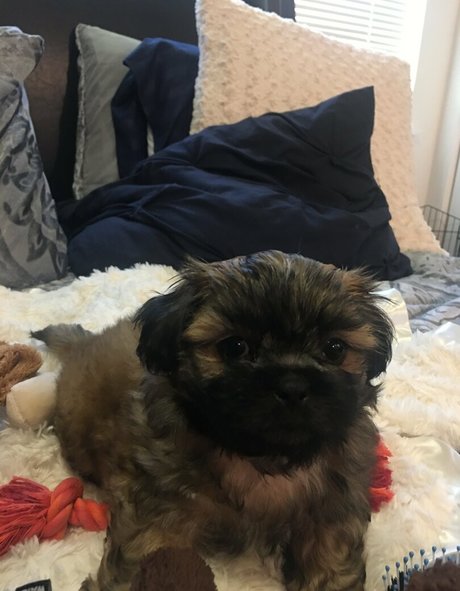 sablevanell heiße galerien