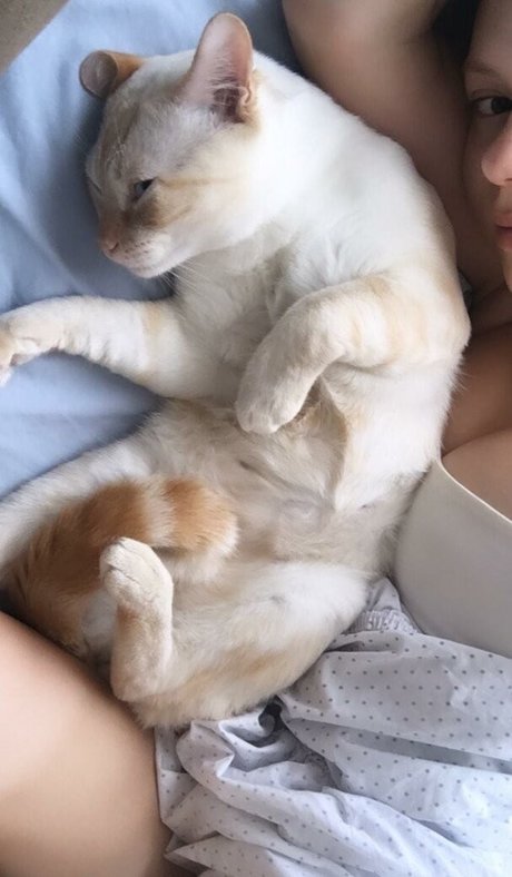 gbrllareis sexy hübsche galerie