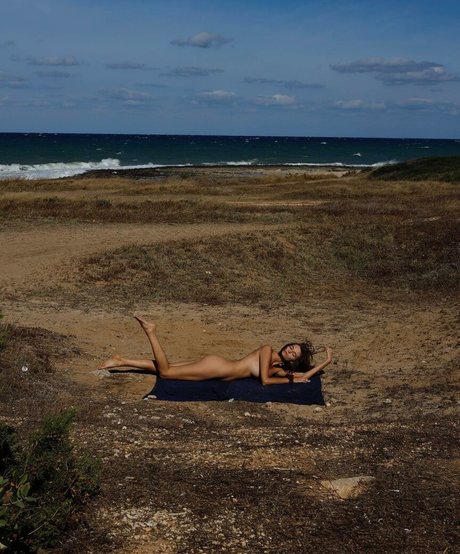 Venosere perfekte kunst galerie