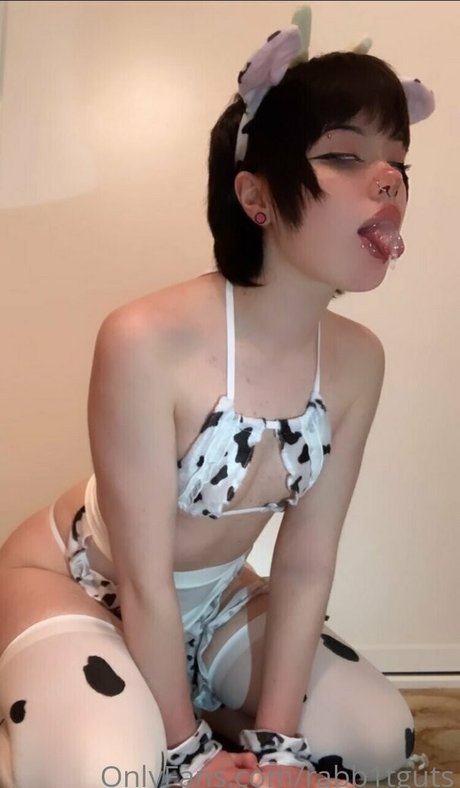 rabb1tguts perfekte archiv