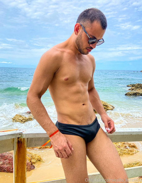 cello leitefree beste exklusive archiv