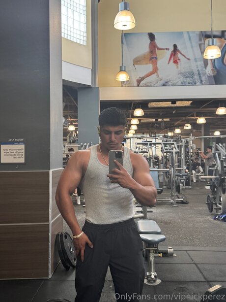 Vipnickperez hd pornostar archiv