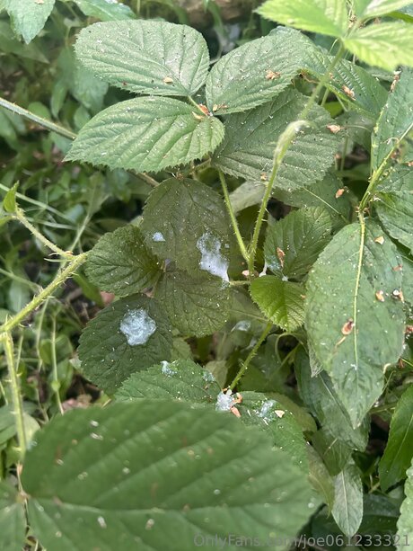 Joe061233321 hd sex bild