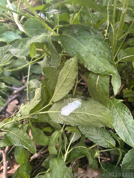 Joe061233321 perfekte porno fotos