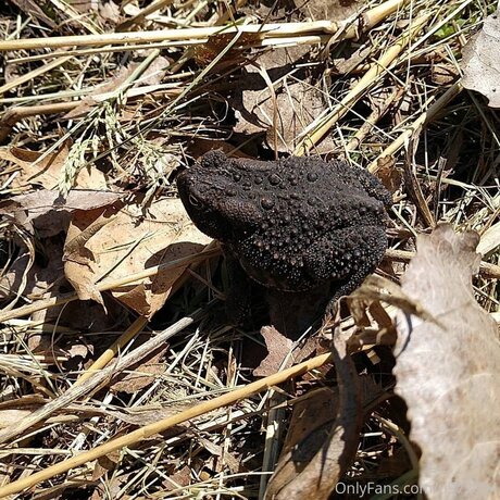 weihnachtsunterwäsche onlyfans erotische nacktheit bild