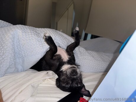 Chloekim nacktheit akt bild