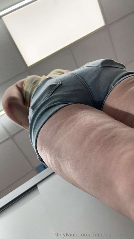 Chaoticgeckofree xxx pornographische bilder