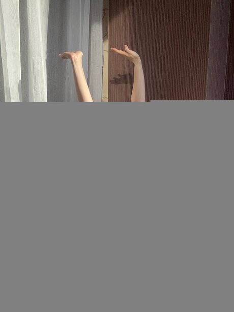 Lily Poppy erwachsene top archiv