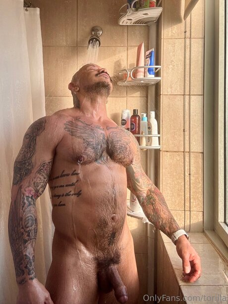 Torilla porno heiße galerien