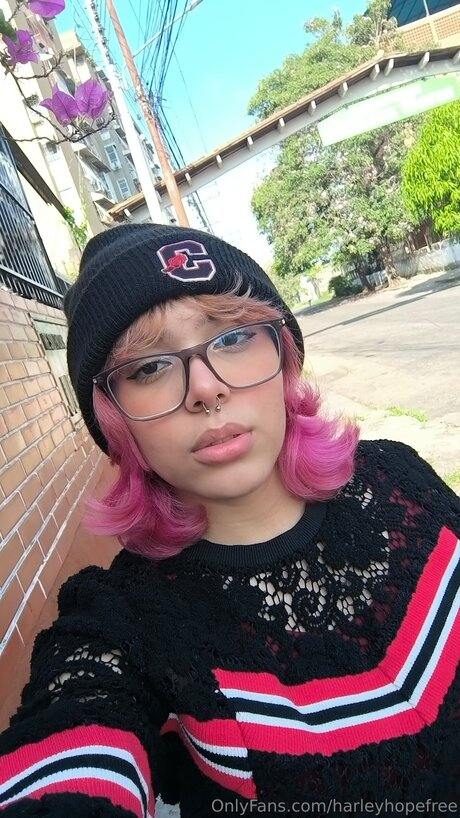 Harleyhopefree beste hd bilder