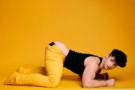 Ashtonadamsx erwachsene nette archiv