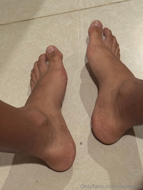 Sedessen beste schöne galerien