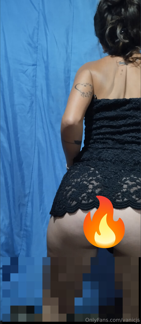 Vanicjs schöne freie galerien