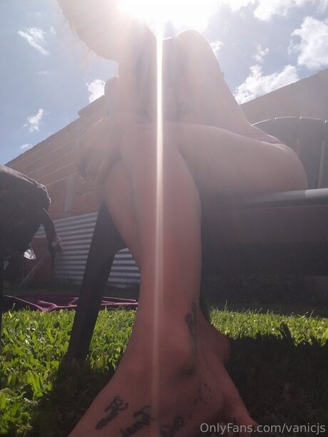 Vanicjs perfekte hd galerien