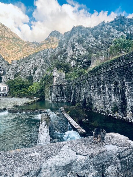 Nordicguy94 beste akt bilder