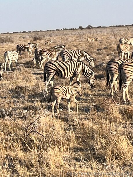 Nordicguy94 kostenlose akt galerie