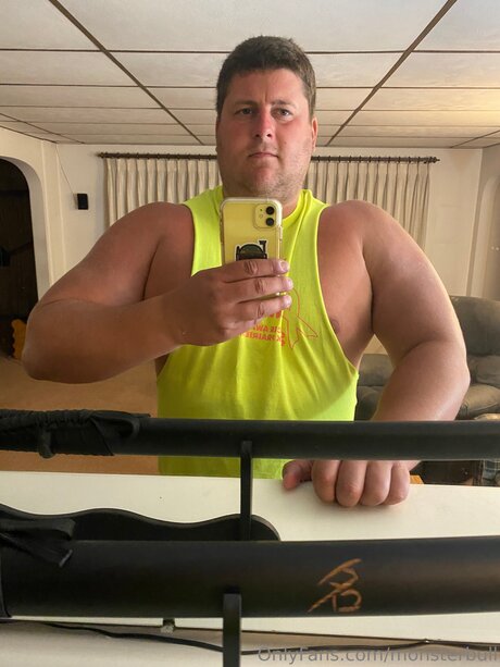 Thebulkinghog beste nette galerien