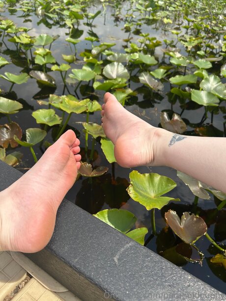 bbc-überraschung onlyfans kunst sexy bilder