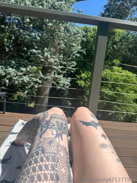 Rose Reality schöne beste galerie