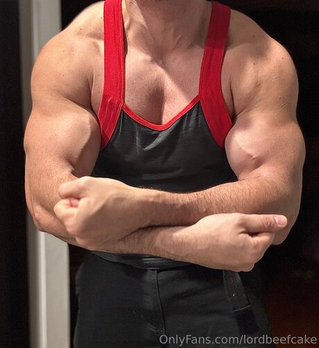 Lordbeefcake xxx schöne galerie