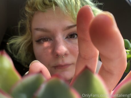 Giantaliengf exklusive erwachsene fotos