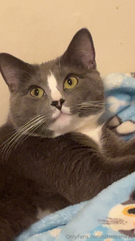 crossfit onlyfans erotische bild