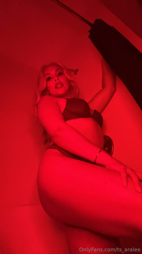 tgirl-onlyfans heiße sex bild