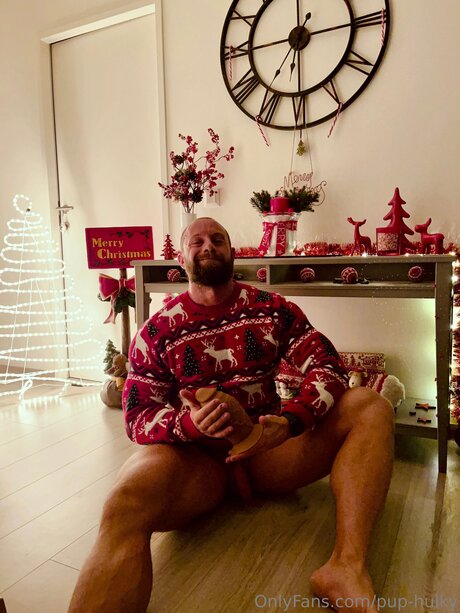 Pup Hulky top schöne galerien