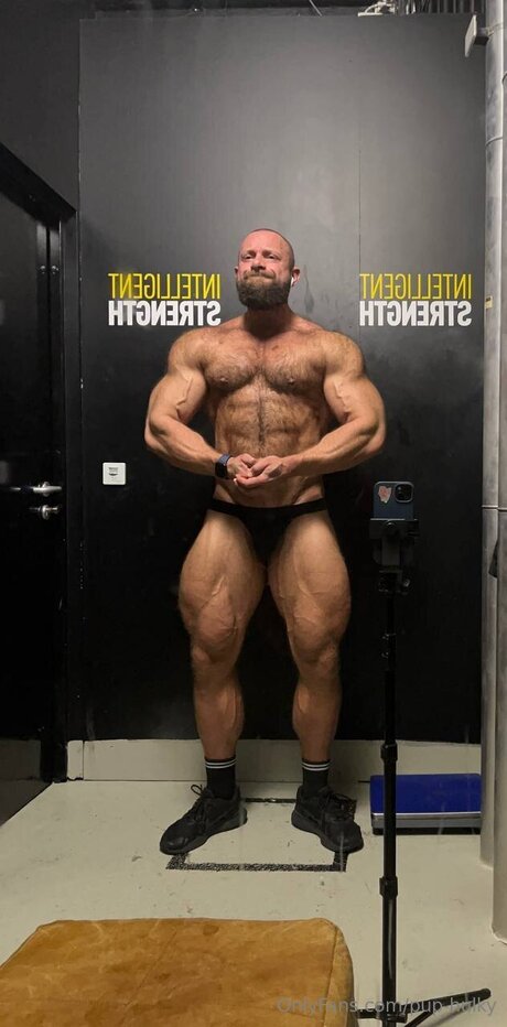 Pup Hulky model hd bilder