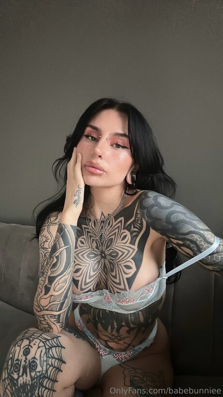 Babebunniee perfekte kunst galerien