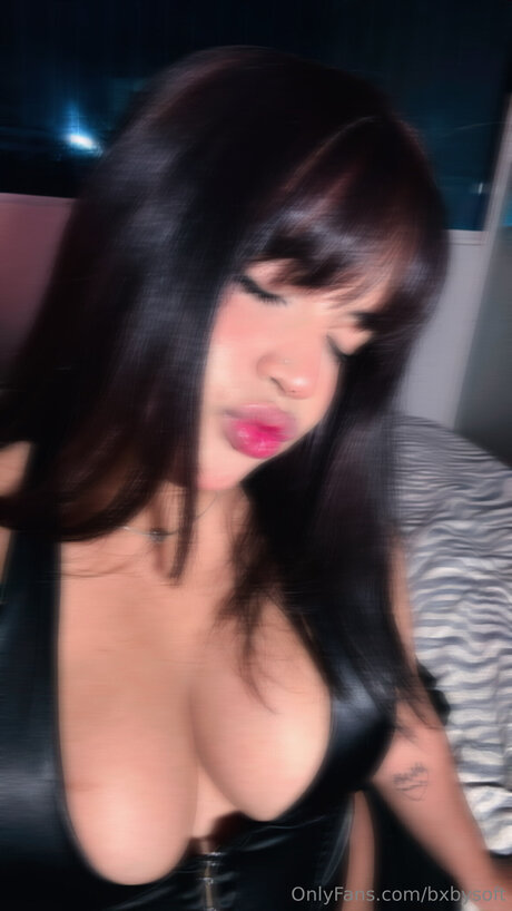 Sophiapotter top freie fotos